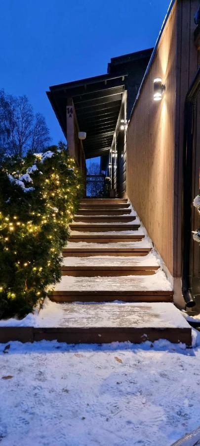 Luxury Villa Rauhankatu Rovaniemi Exterior foto